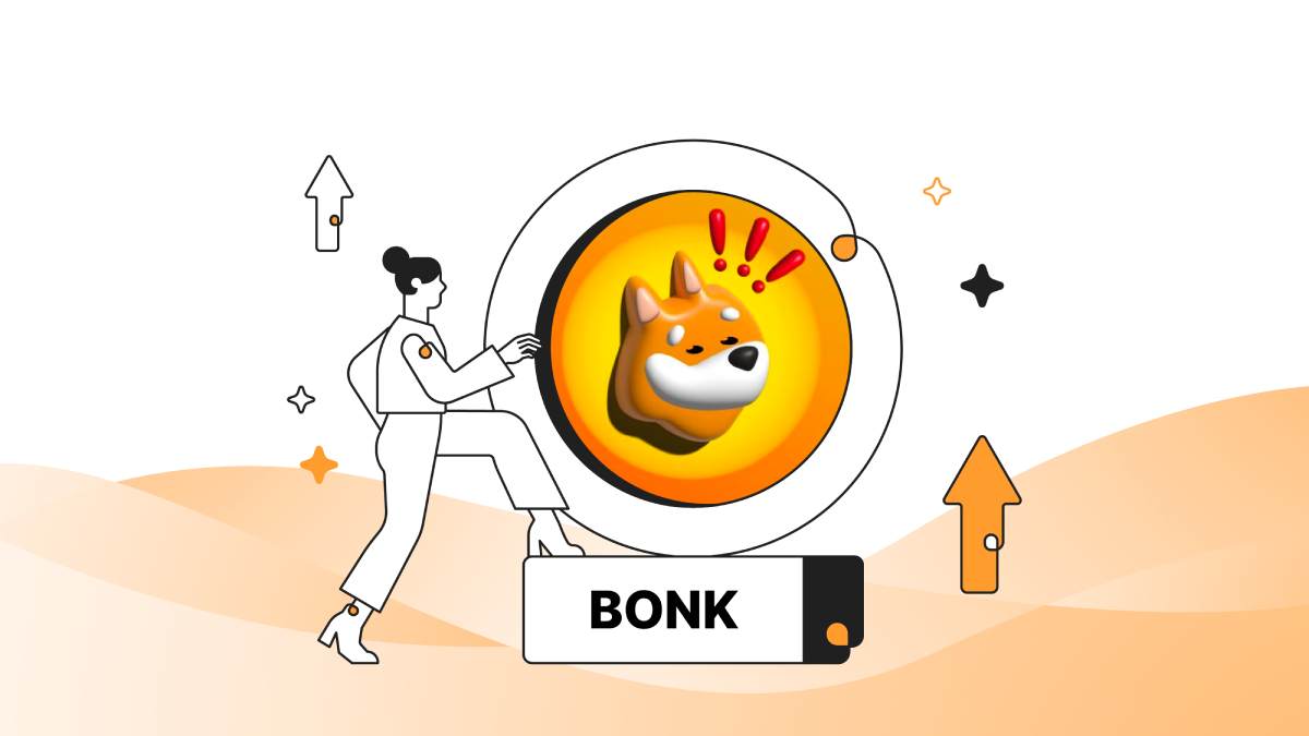Exploring the Future of Bonk Inu (BONK COIN) and 2024 Price Forecast